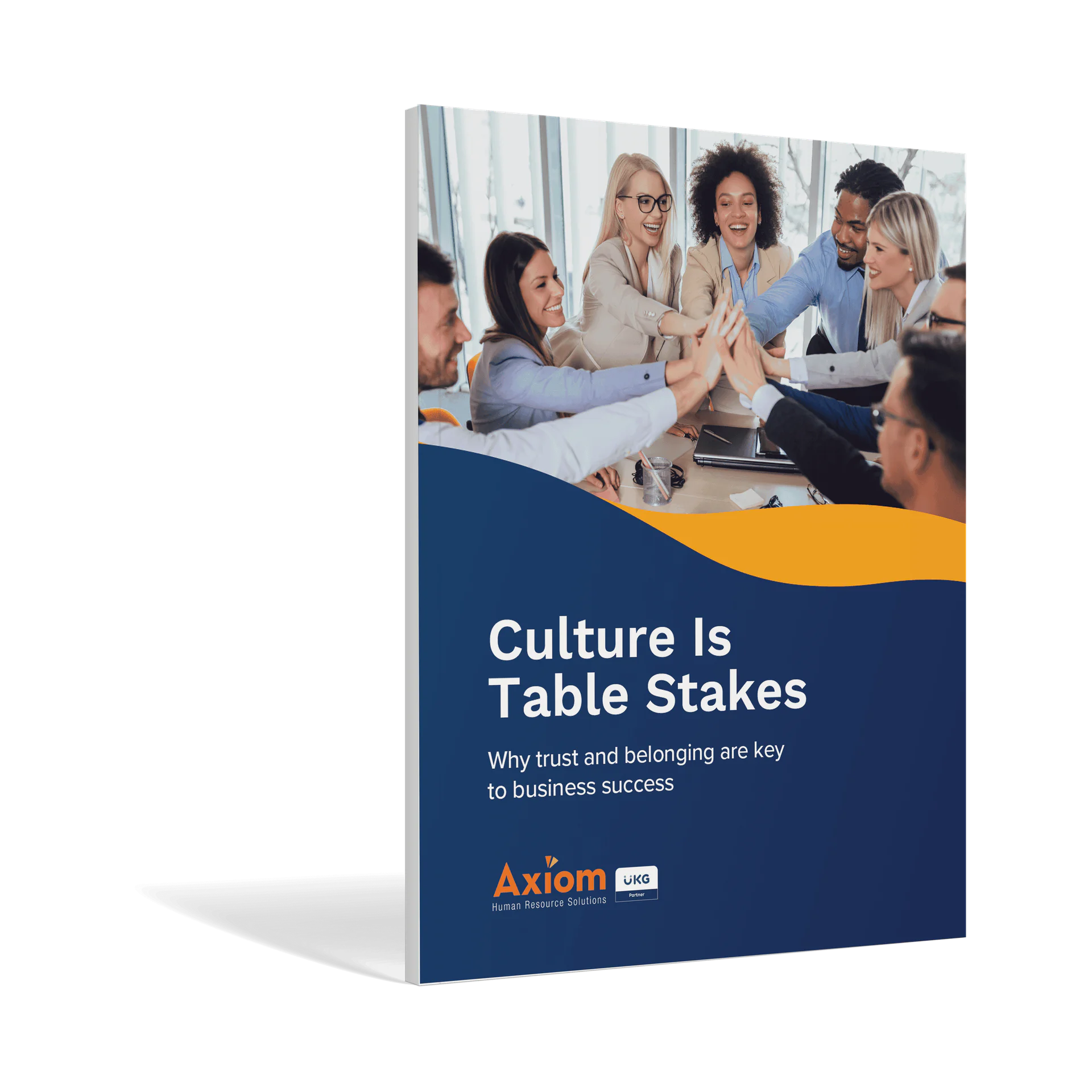 Human Capital Management ebook